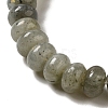 Natural Labradorite Beads Strands G-G102-C06-01-4