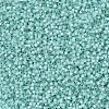 MIYUKI Delica Beads X-SEED-J020-DB0626-3