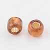 8/0 Glass Seed Beads X1-SEED-A005-3mm-53-2