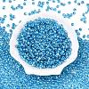 6/0 Baking Paint Transparent Fringe Glass Seed Beads SEED-N006-06L-2