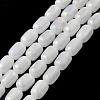 Natural Selenite Beads Strands G-F750-B-21-5