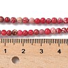 Dyed Natural Regalite/Imperial Jasper/Sea Sediment Jasper Beads Strands G-B124-C05-3