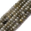 Natural Labradorite Beads Strands G-P587-D13-01-2
