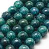 Natural Apatite Beads Strands G-F475-06-12mm-1