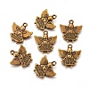 Tibetan Style Alloy Pendants TIBEP-4643-AB-FF-1