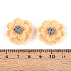 Resin Decoden Cabochons CRES-T025-04B-3