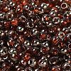 Transparent Inside Colours Glass Seed Beads SEED-H002-A-C205-3