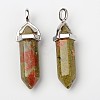 Natural Unakite Double Terminated Pointed Pendants G-F295-04B-4