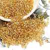 TOHO 8/0 Round Beads SEED-XTR08-0022A-1