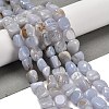Natural Blue Lace Agate Beads Strands G-P497-01E-71-2