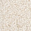 12/0 Glass Seed Beads SDB201-1
