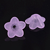 Transparent Acrylic Beads PL560-4-1