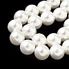 Shell Pearl Beads Strands BSHE-K015-10mm-04-3