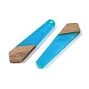 Resin & Wood Pendants WOOD-F015-05G-2