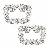 Olycraft 2Pcs Crystal Rhinestone Shoe Decoration DIY-OC0009-93P-1