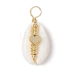 Natural Cowrie Shell Copper Wire Wrapped Pendants PALLOY-JF02932-02-1