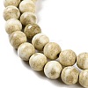 Natural Rainbow Alashan Agate Beads Strands G-NH0022-A04-01-4