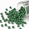 6/0 Glass Seed Beads SEED-US0003-4mm-47-1