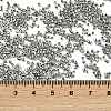 Electroplate Glass Seed Beads SEED-H003-10E-4