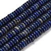 Natural Lapis Lazuli Beads Strands G-Q159-B38-01-2