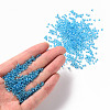 12/0 Glass Seed Beads SEED-A006-2mm-103B-4