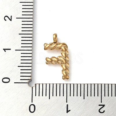 316 Surgical Stainless Steel Pendants & Charms STAS-D031-01F-1