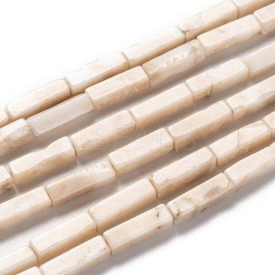 Natural Petrified Wood Beads Strands G-G837-20-1