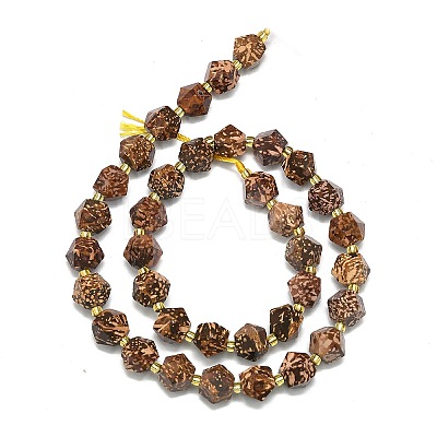Natural Starburst Jasper Beads Strands G-I376-A60-01-1