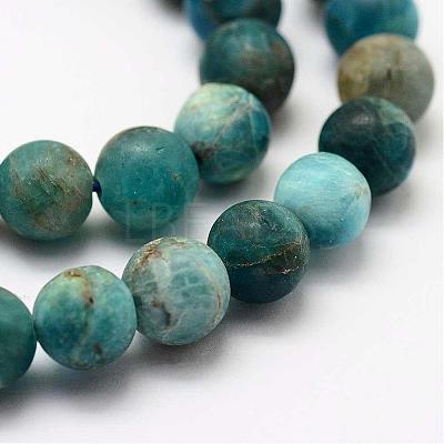 Natural Apatite Beads Strands G-K193-10mm-12-1