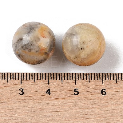 Natural Crazy Agate No Hole Sphere Beads G-K353-04D-34-1