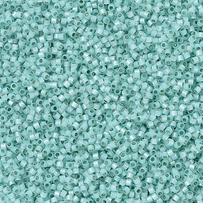 MIYUKI Delica Beads X-SEED-J020-DB0626-1