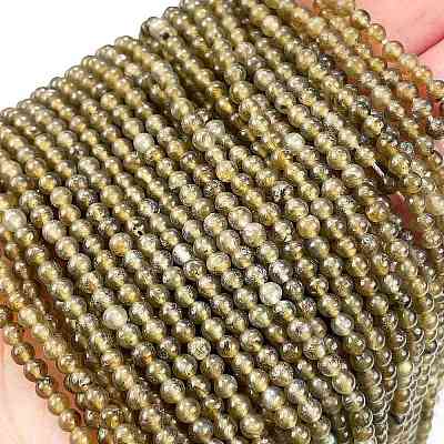 Natural Labradorite Beads Strands G-M438-A01-01-1