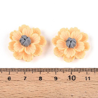 Resin Decoden Cabochons CRES-T025-04B-1