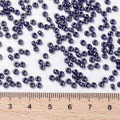 MIYUKI Round Rocailles Beads X-SEED-G008-RR0434-1