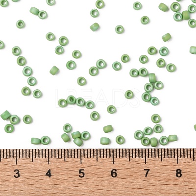 TOHO Round Seed Beads SEED-XTR08-0407F-1