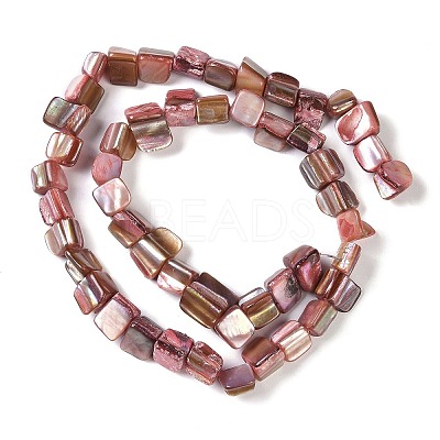 Dyed Natural Freshwater Shell Beads Strands SHEL-P016-01G-1