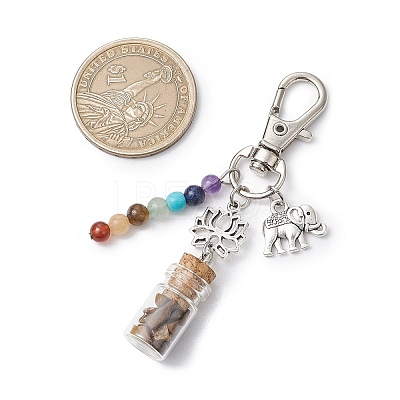 Glass Wishing Bottle with Chakra Natural & Synthetic Gemstone Chips inside Pendant Decorations HJEW-JM03044-1