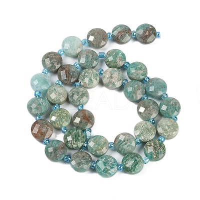 Natural Amazonite Beads Strands G-B094-A18-01-1