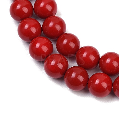 Shell Pearl Beads Strands BSHE-K015-10mm-01-1