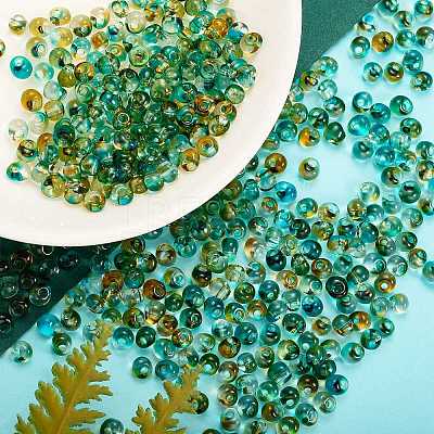 45G Transparent Baking Paint Glass Seed Beads SEED-SZ0001-028C-1