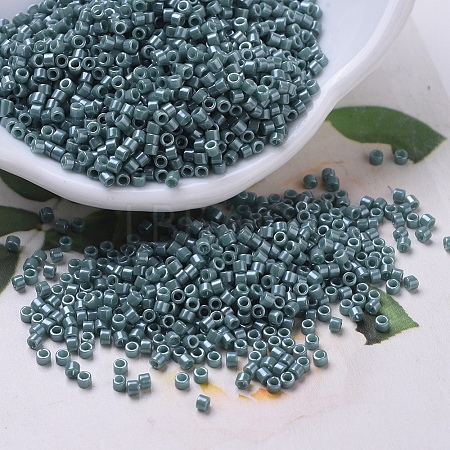 MIYUKI Delica Beads X-SEED-J020-DB0264-1