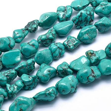 Natural Magnesite Beads Strands TURQ-G148-18B-1