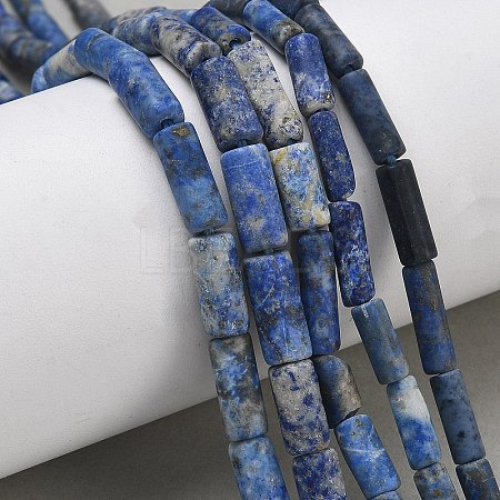 Natural Lapis Lazuli Beads Strands G-L650-L01-01-1