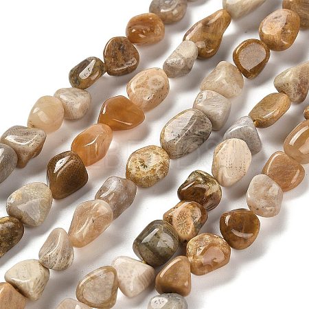 Natural Fossil Coral Beads Strands G-P497-01E-36-1