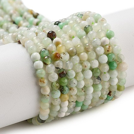 Natural Serpentine Beads Strands G-G161-D24-01-1