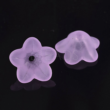 Transparent Acrylic Beads PL560-4-1