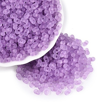 FGB Frosted Transparent Glass Seed Beads SEED-N013-06A-07-1