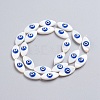 Natural Shell Beads Strands SSHEL-I024-04F-2