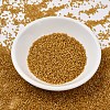 MIYUKI Delica Beads X-SEED-J020-DB0272-2