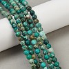 Dyed Natural Regalite/Imperial Jasper/Sea Sediment Jasper Beads Strands G-B124-C04-07-5